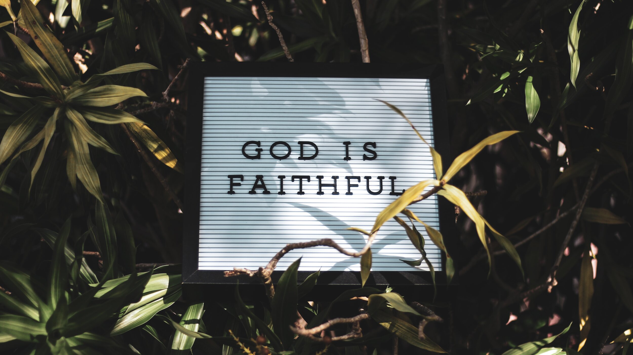 Episode 01: Faith